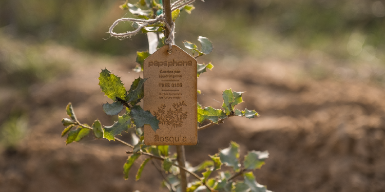 2202_Blog_Bosquia_Recogiendo-frutos_Foto_2 2202_Blog_Bosquia_Recogiendo-frutos_Foto_2.png