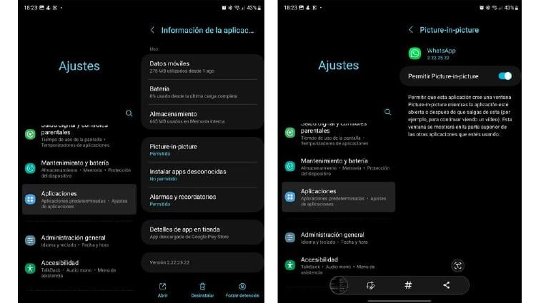PIP en Whatsapp PIP en Whatsapp