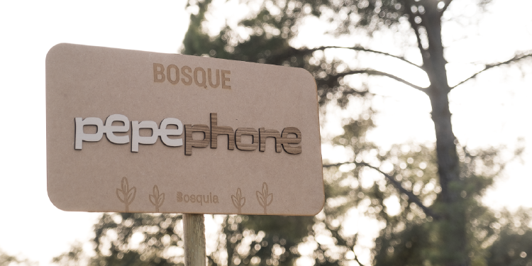 2202_Blog_Bosquia_Recogiendo-frutos_Foto_3 2202_Blog_Bosquia_Recogiendo-frutos_Foto_3.png